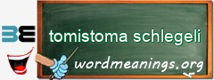 WordMeaning blackboard for tomistoma schlegeli